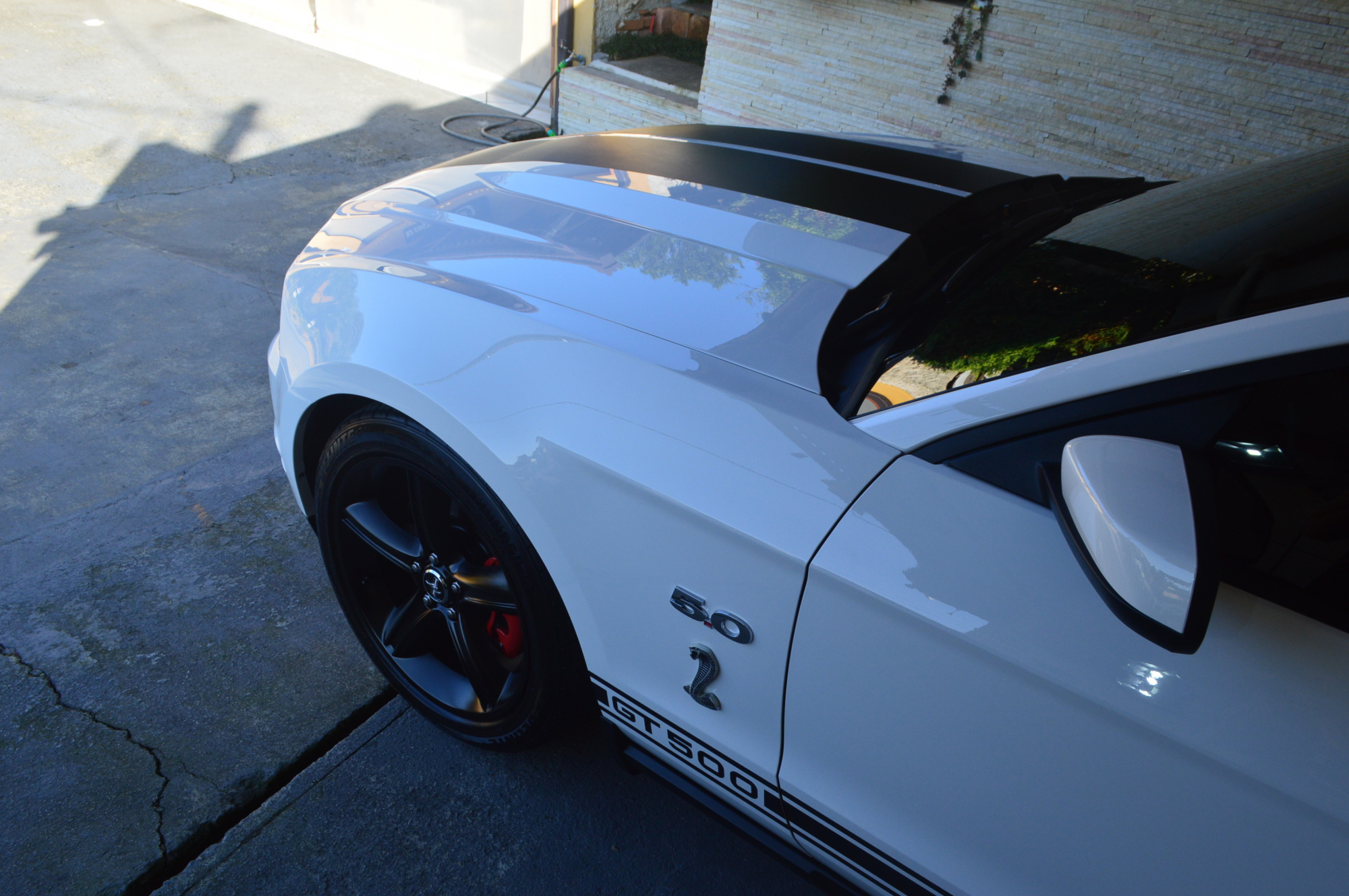 Correção Técnica Da Pintura